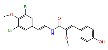 Botryllamide B